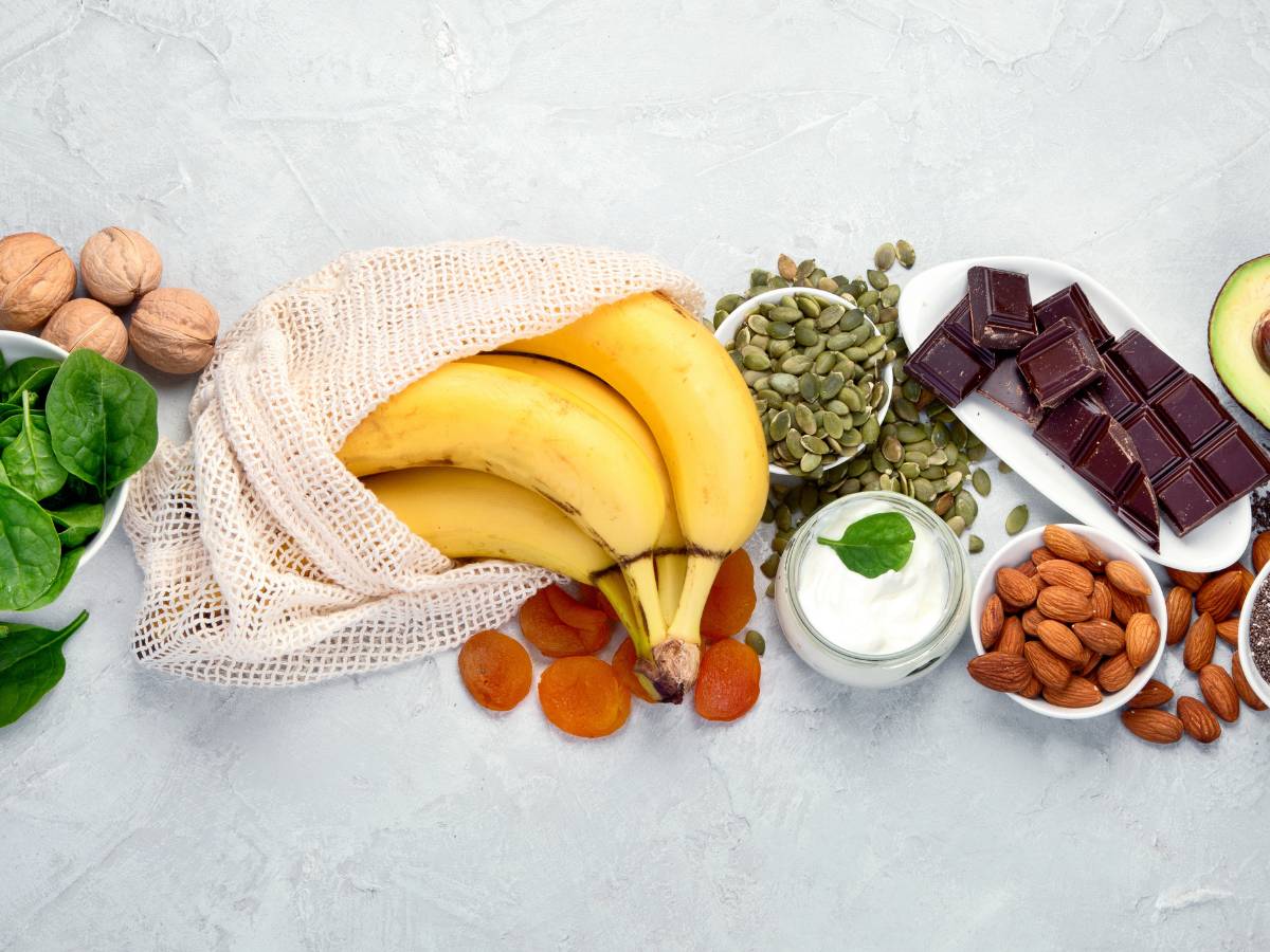 Macronutrientes y energía Macronutrientes y energía