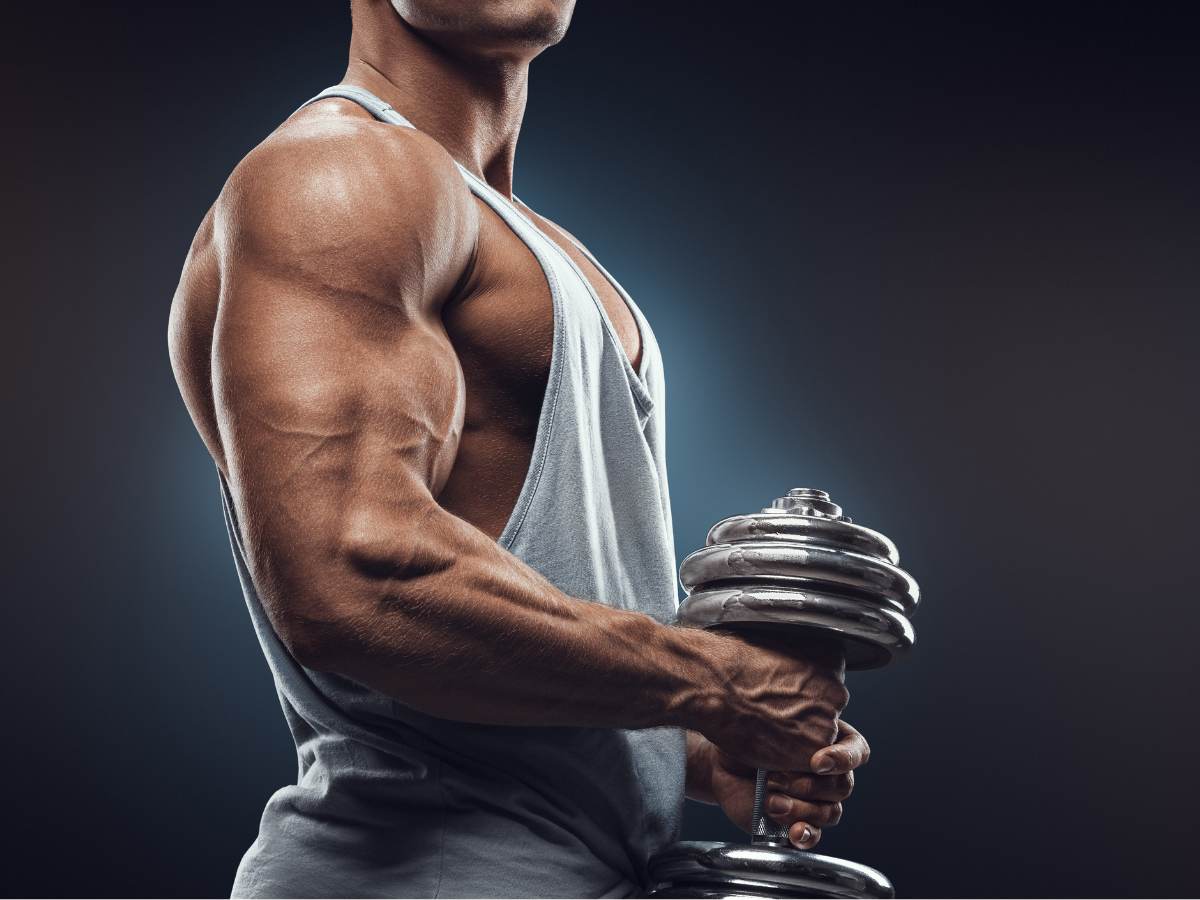 Musculo se convierte en grasa