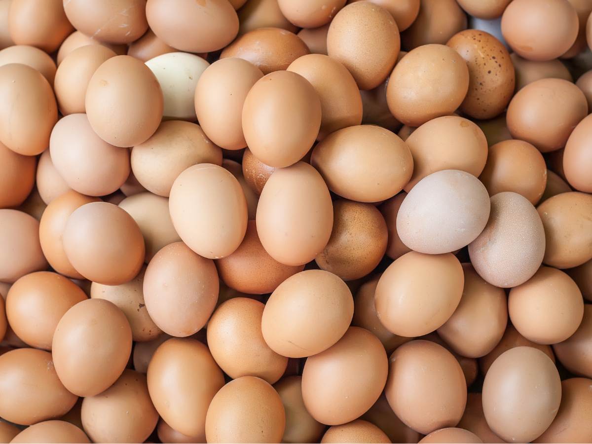 Comer muchos huevos es malo