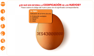 Info-huevos