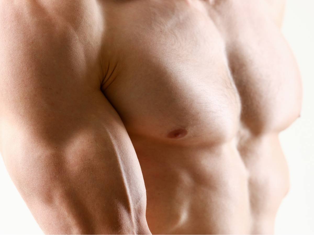 Pectoral interior Pectoral interior