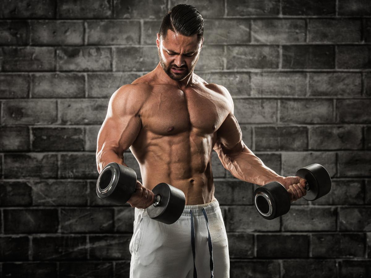 Confusión muscular Confusión muscular