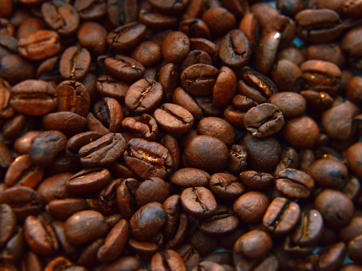 Semillas de café