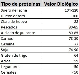 valor biológico proteína
